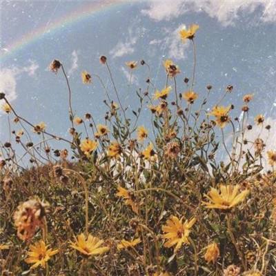 江南app下载平台